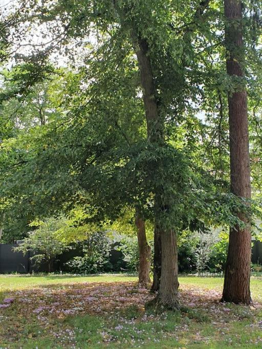 Propriété de campagne Villa Vierzon Exterior foto