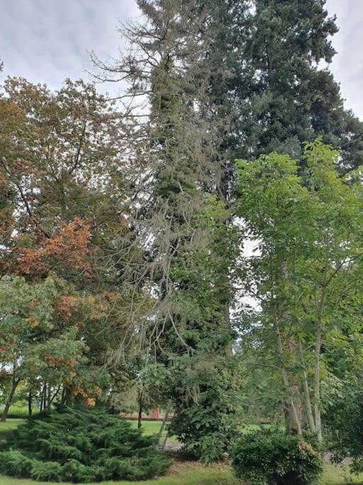 Propriété de campagne Villa Vierzon Exterior foto