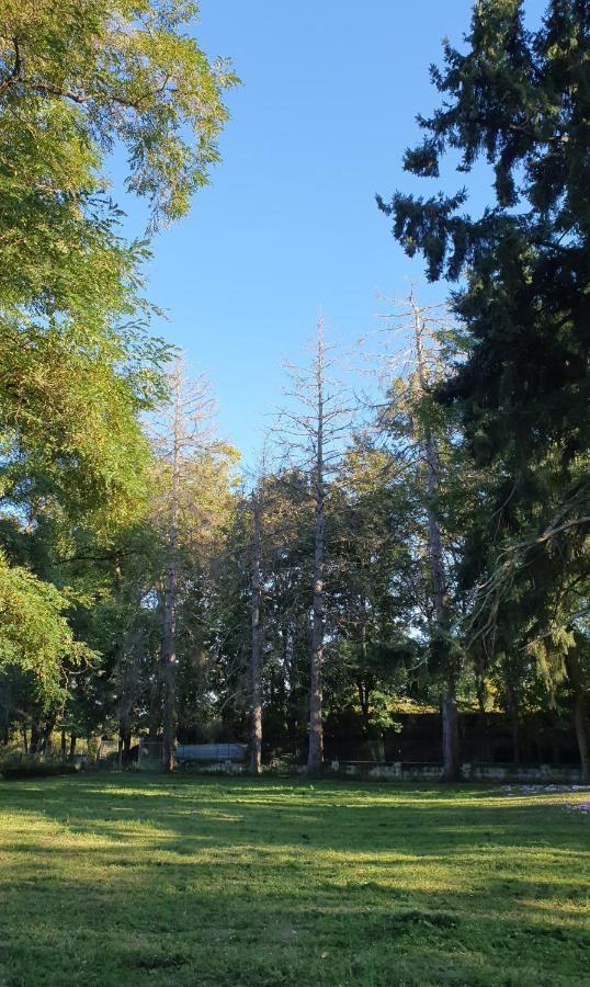 Propriété de campagne Villa Vierzon Exterior foto